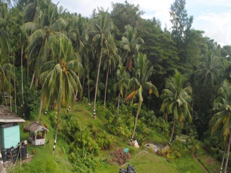 Andaman Galley Boutique Hotel Port Blair Exterior foto